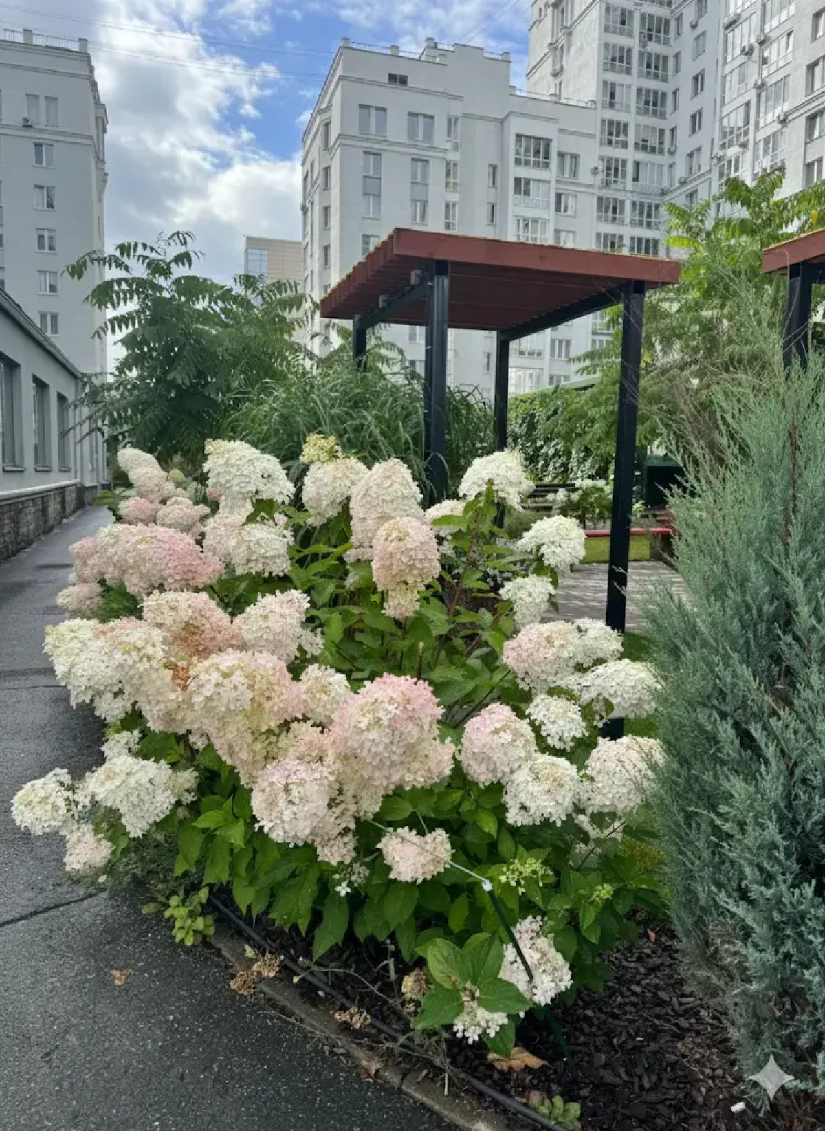 Квартира на улице Степана Разина 95