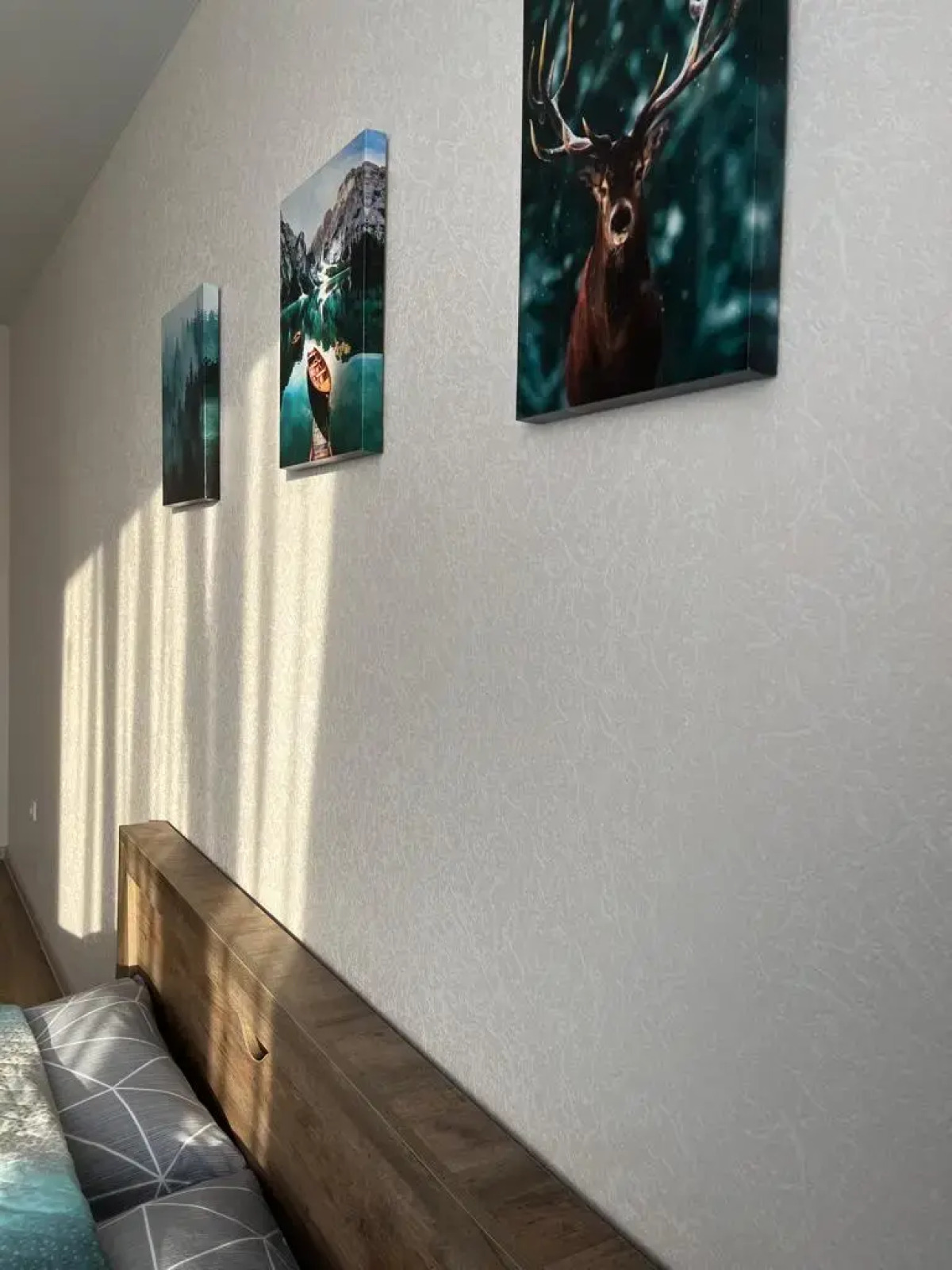 Квартира Елена Озерки