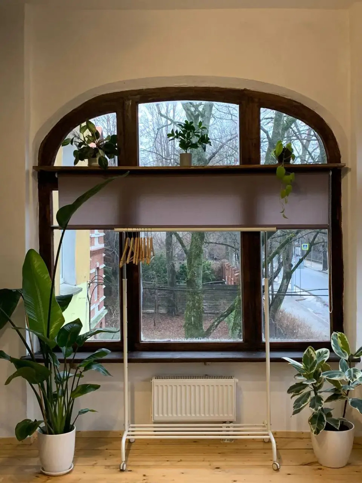 Апартаменты Оранжерея