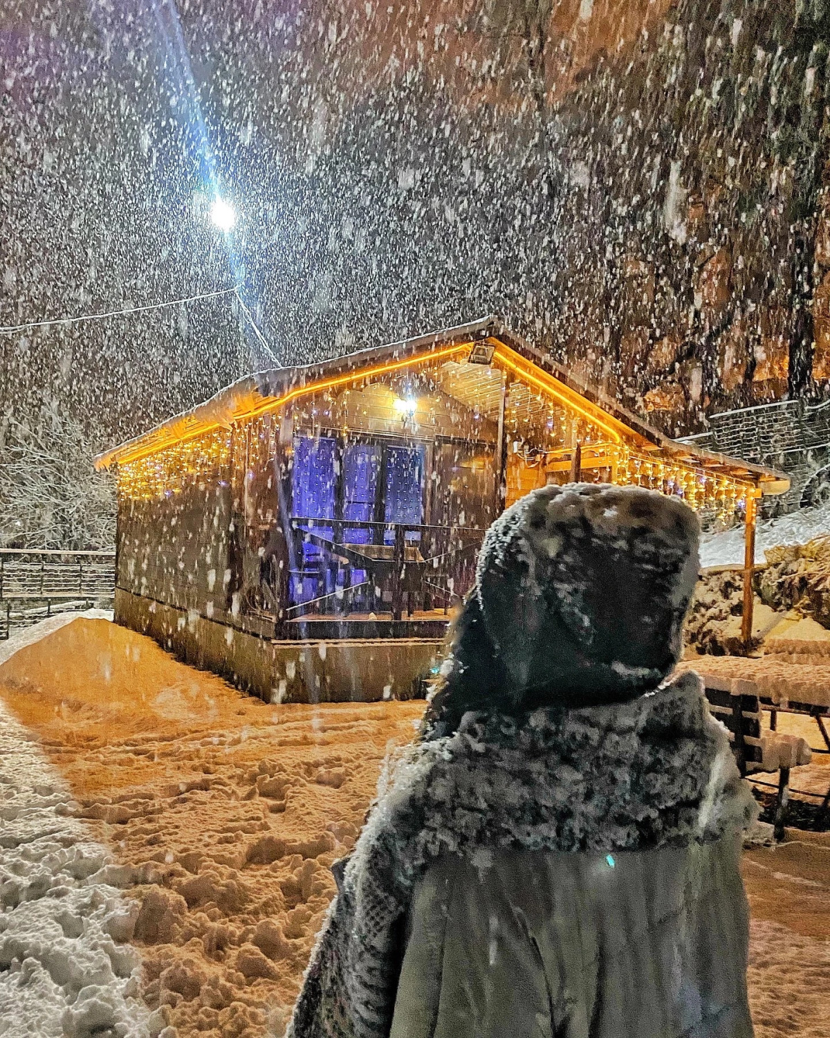 Шале Чинара