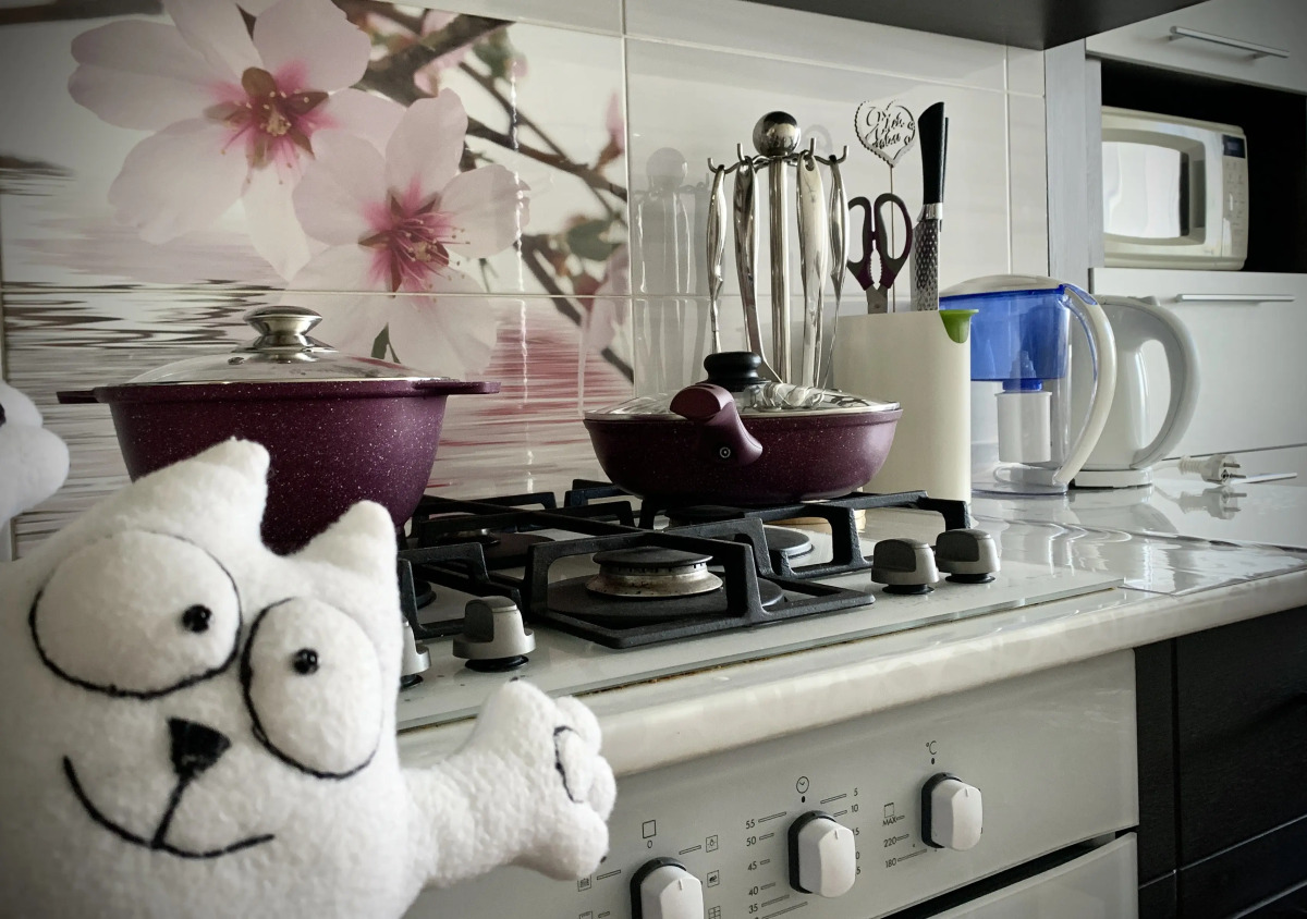 Апартаменты в Гостях у Кота Севы