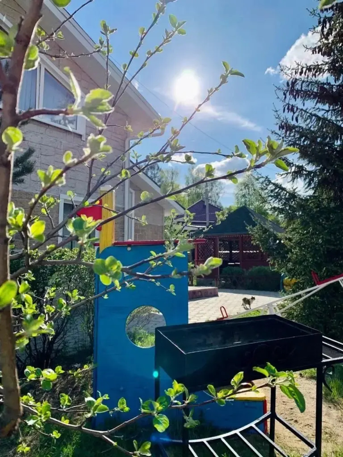 Отель Эдельвейс