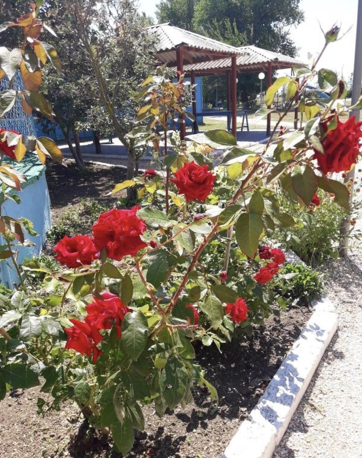 База отдыха Ветерок