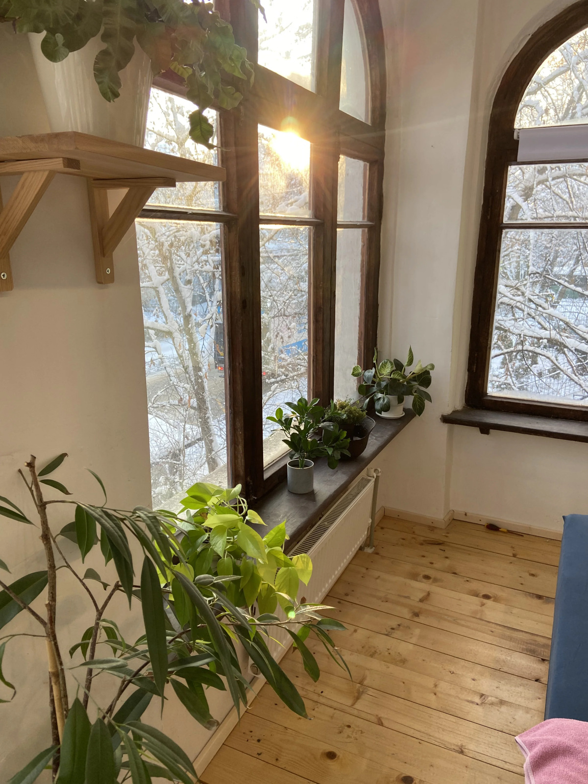 Апартаменты Оранжерея