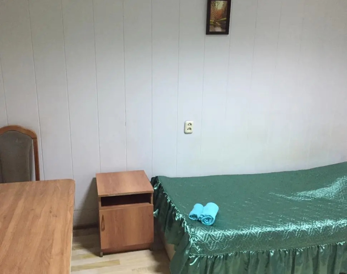 Отель Ариэль-Д