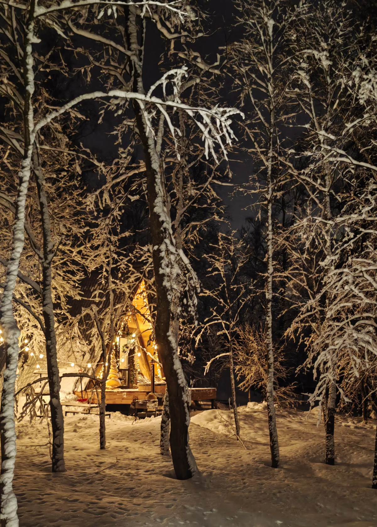 Частный дом A-frame На холме