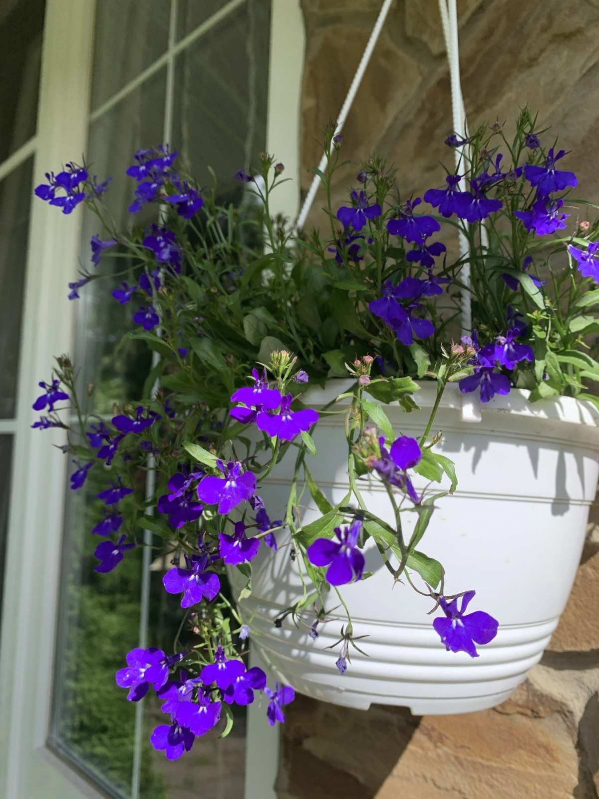 Гостевой дом Вилла романтика