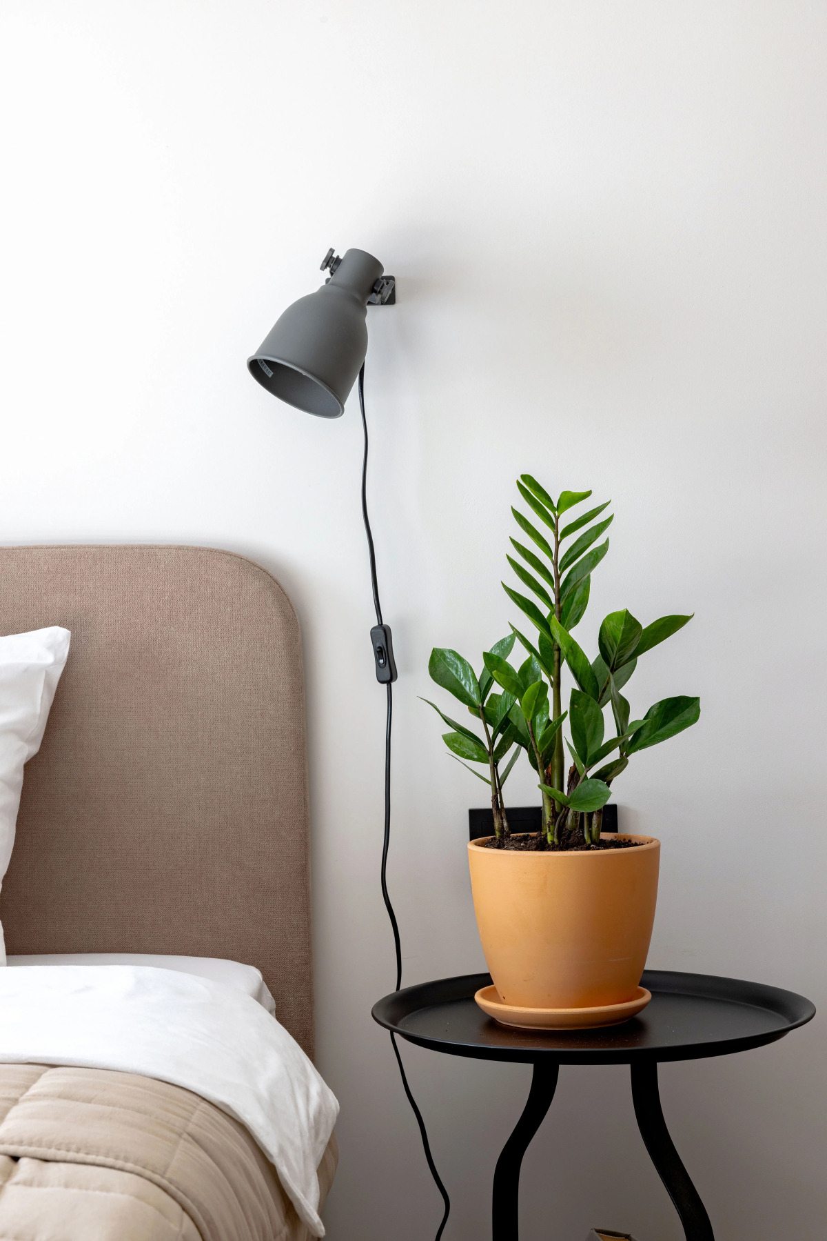 Апартаменты Wood Resort в Сестрорецке в комплексе с бассейном