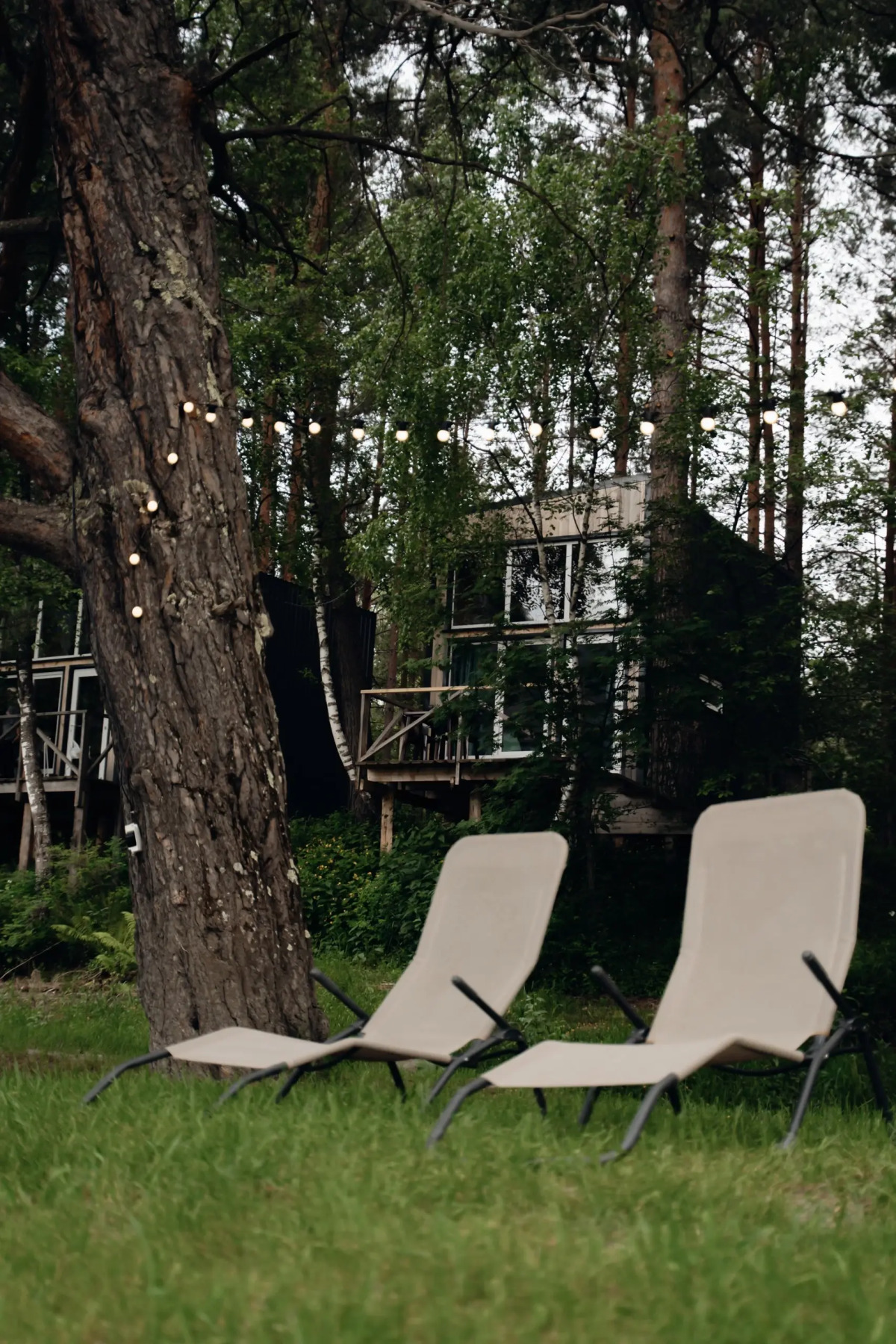 Глэмпинг Камышла Парк