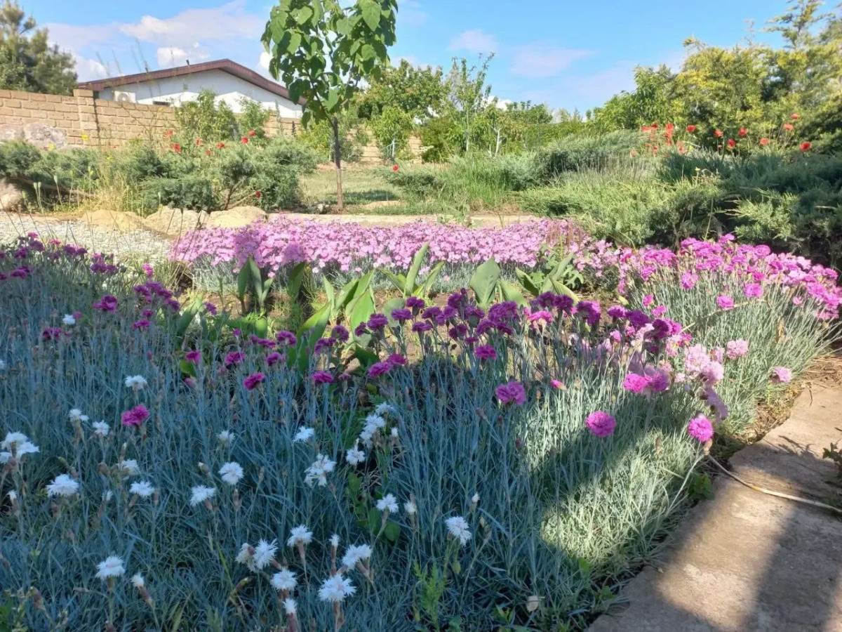 Гостевой дом Парк-отель Казантип Центр