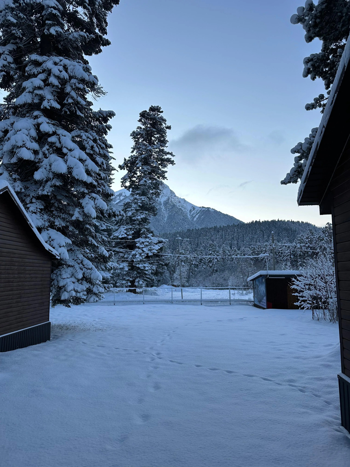 Гостевой дом Тебриз