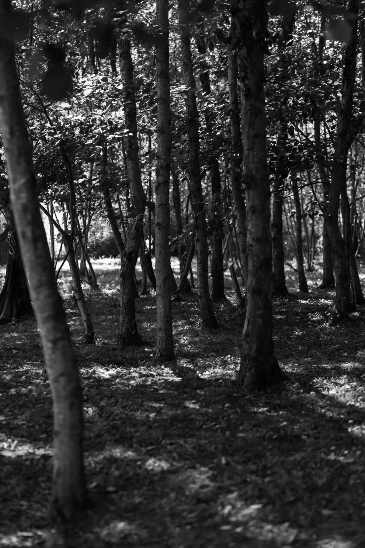 Гостевой дом ТЕПЛЫЕ НОЧИ