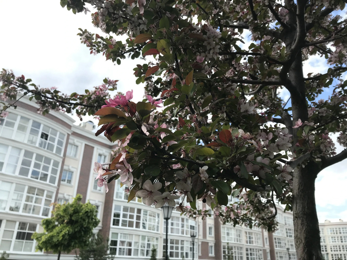 Квартира Прилесье на Лесопарковой