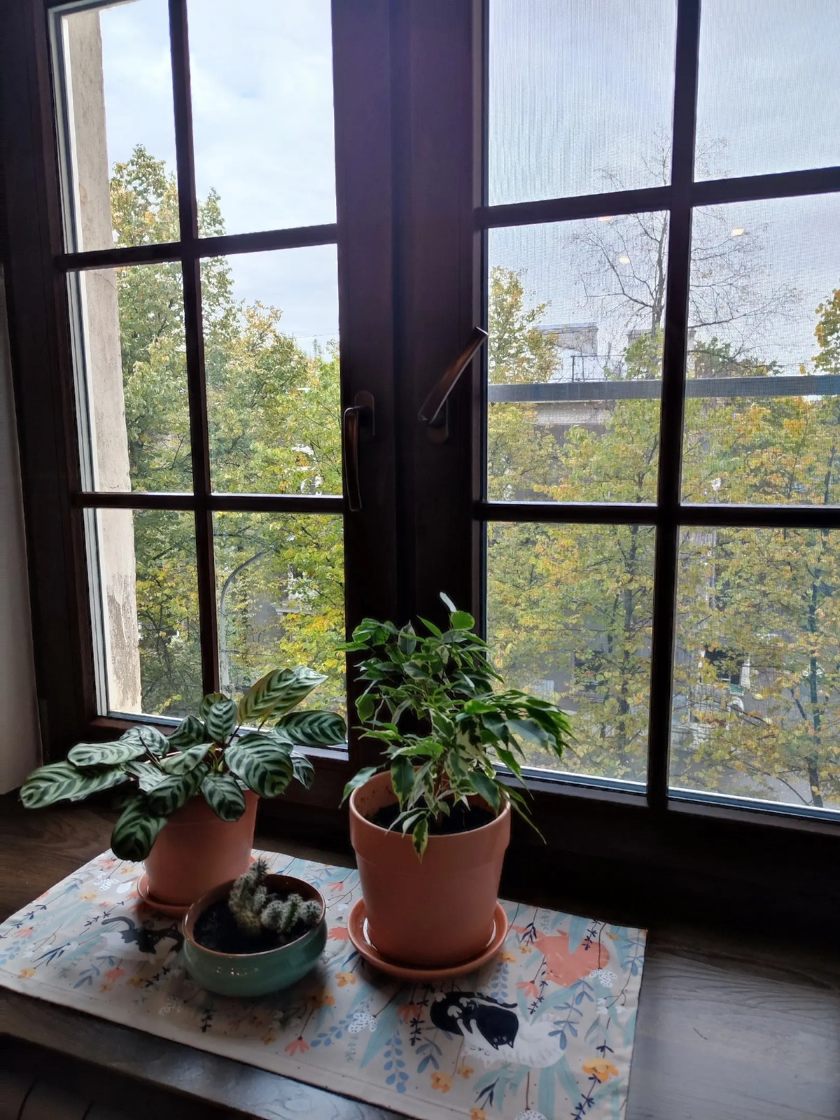 Апартаменты Мариинка