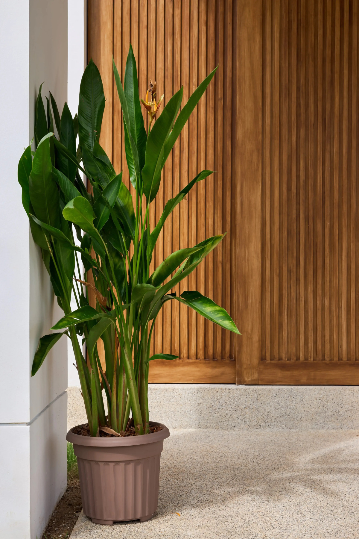 Вилла Phuket Paradise Retreat