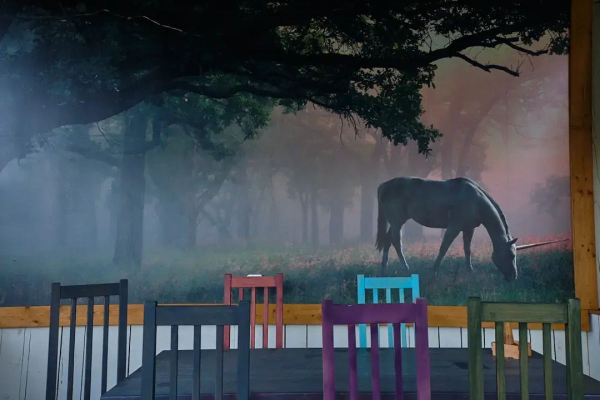 Отель Привет, Чемал!