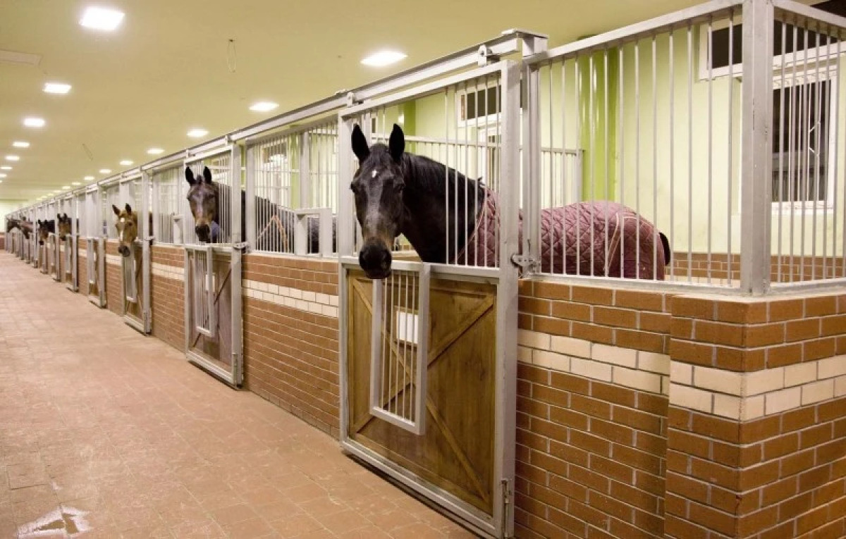 Бутик-отель Padok Premium Hotel & Stables