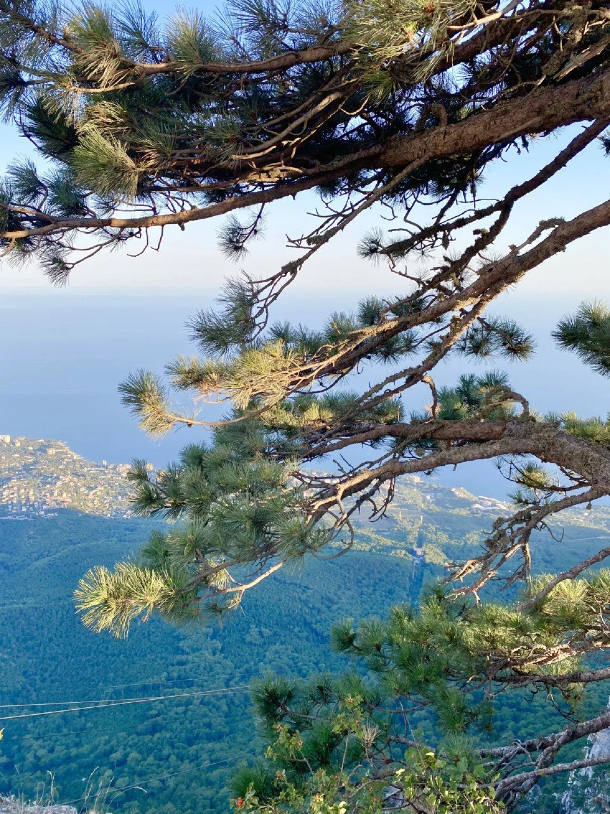 Гостевой дом Семейный отдых у моря