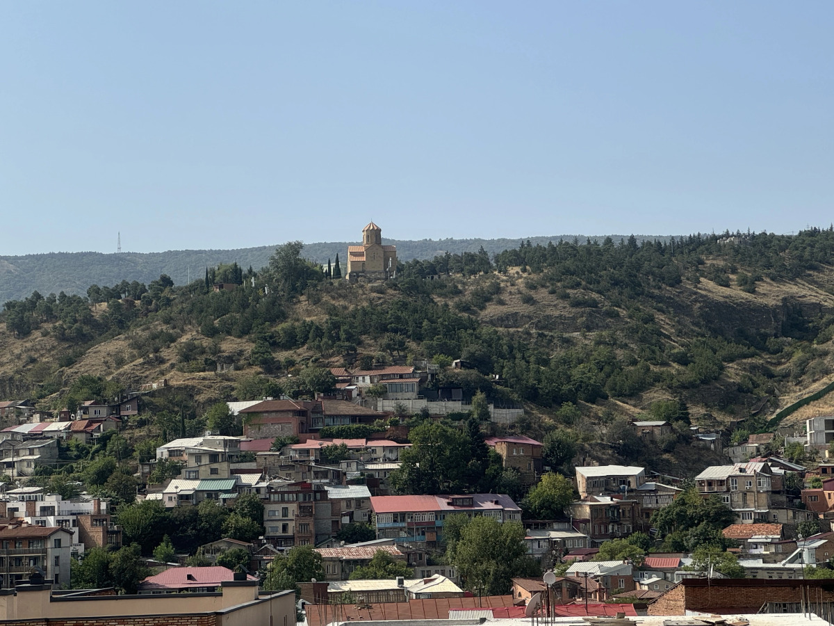 Отель Natali Metekhi Palace