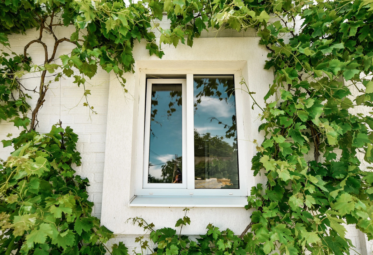 Отель Белая Ива