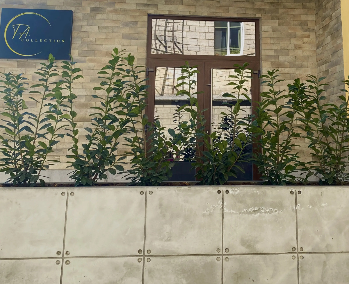 Отель TA Collection