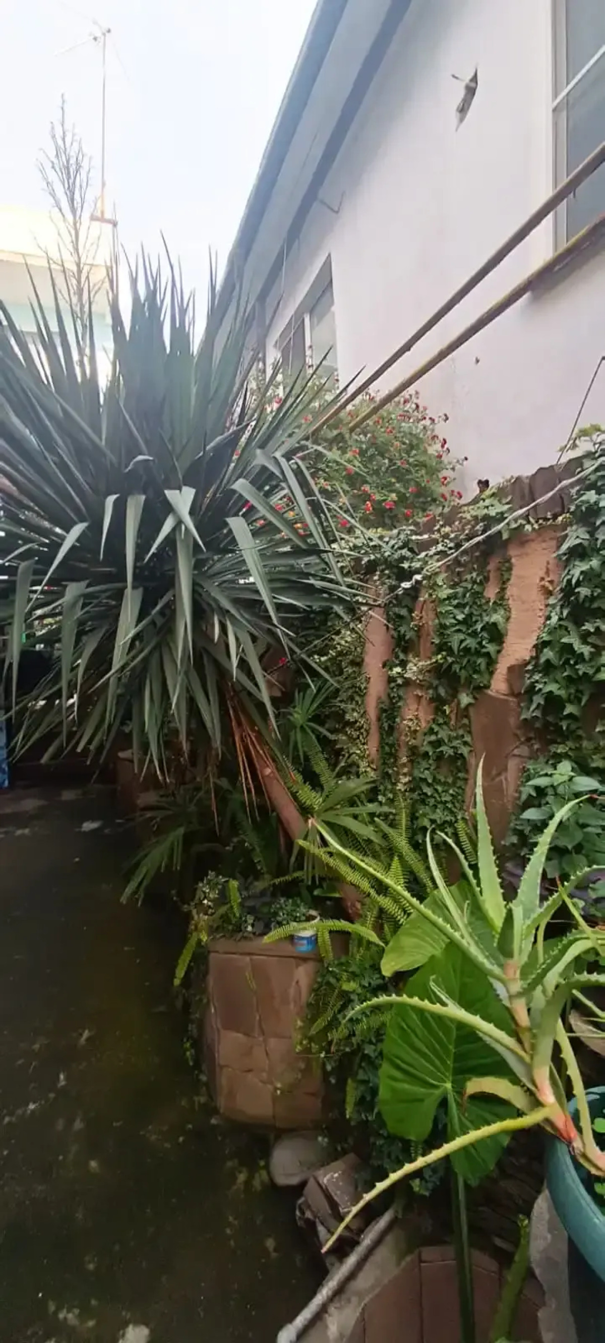 Гостевой дом Тенистый Берег