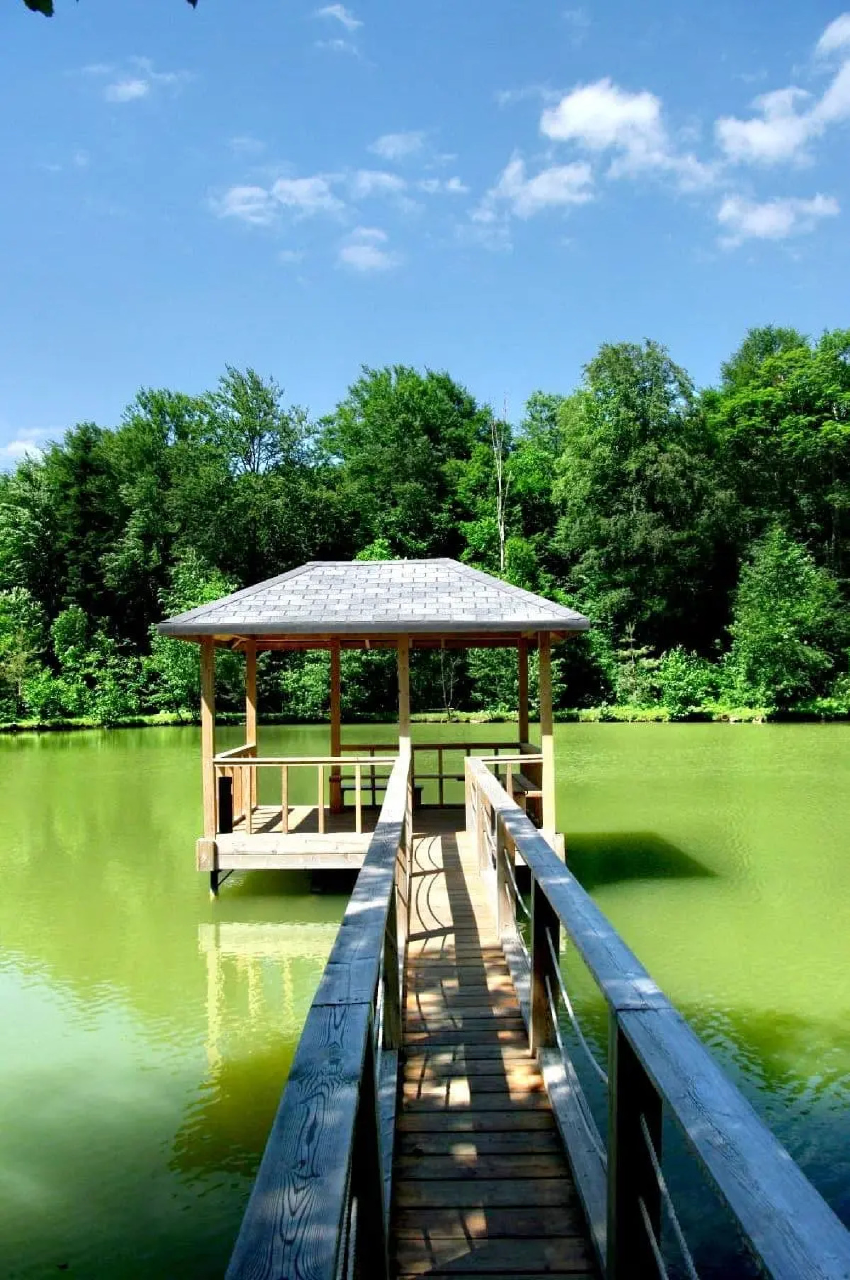 Парк-отель Пихтовый Бор