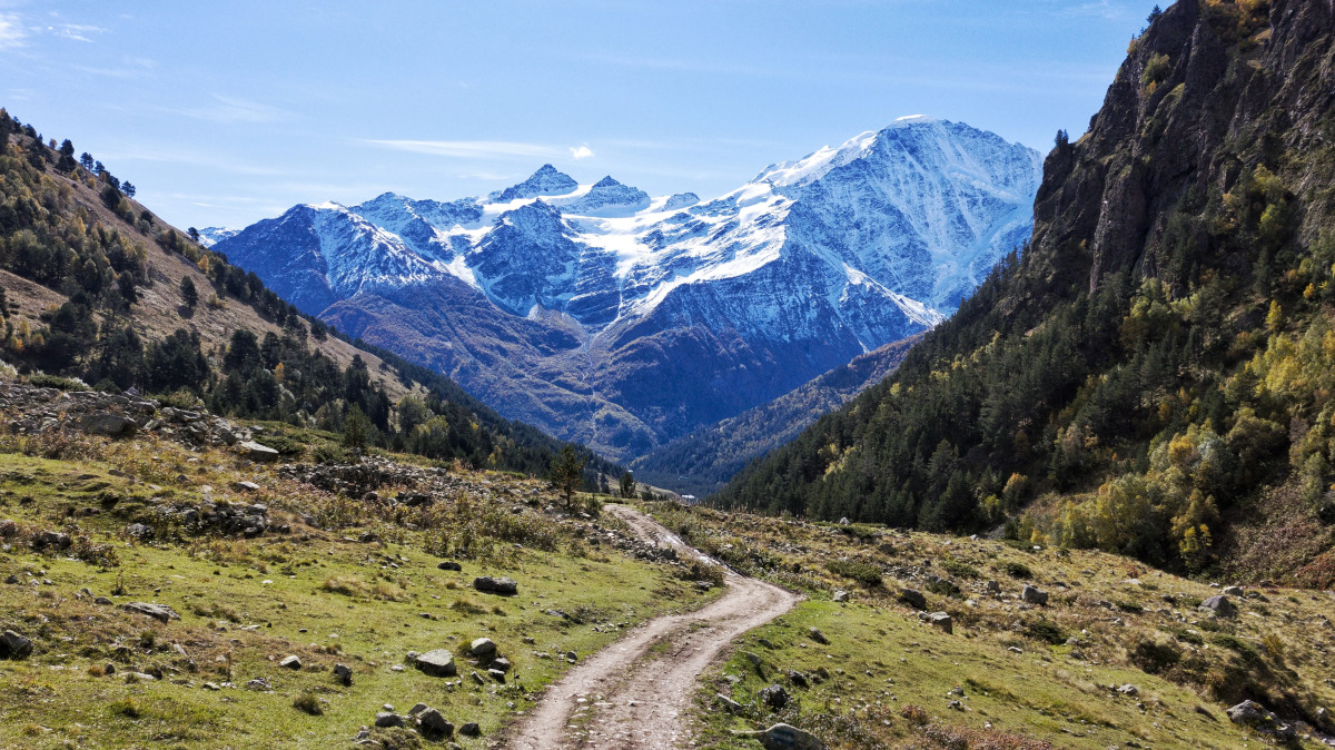 Отель Крокус