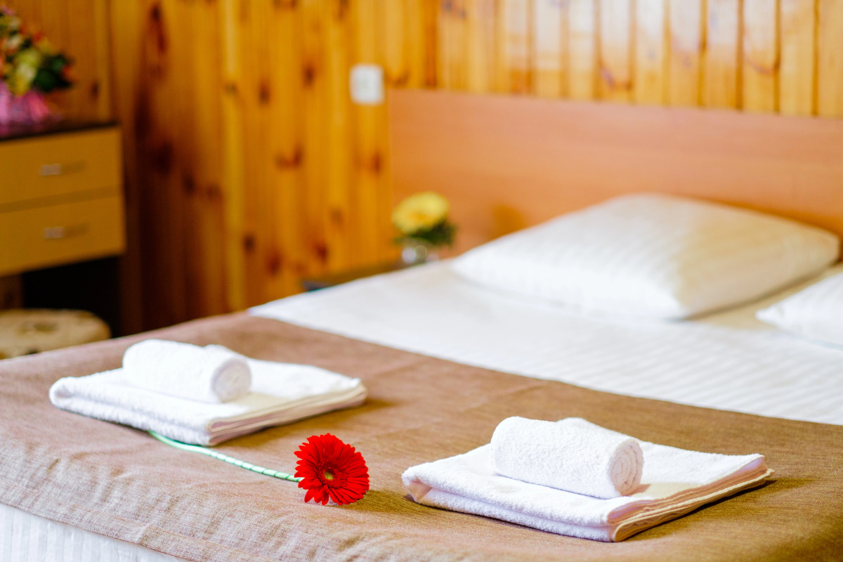 База отдыха Younge Art Camp