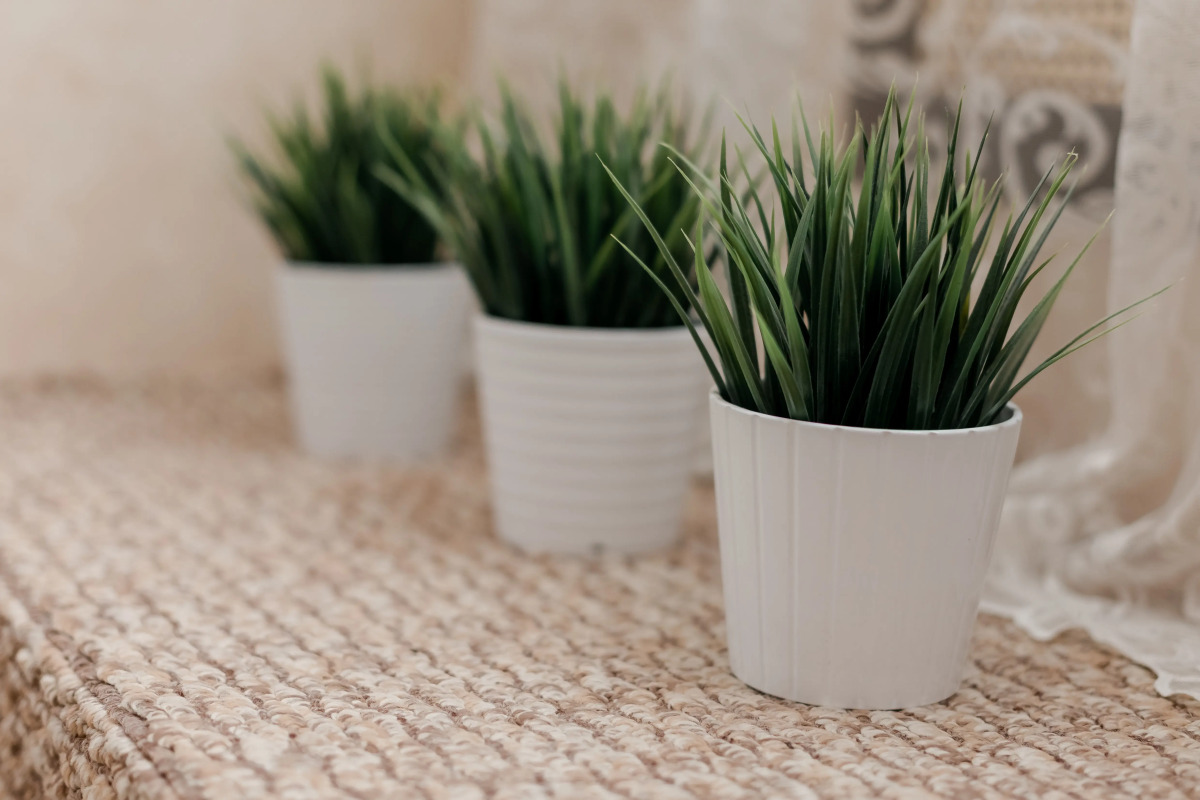 Меблированные комнаты Вокруг Света