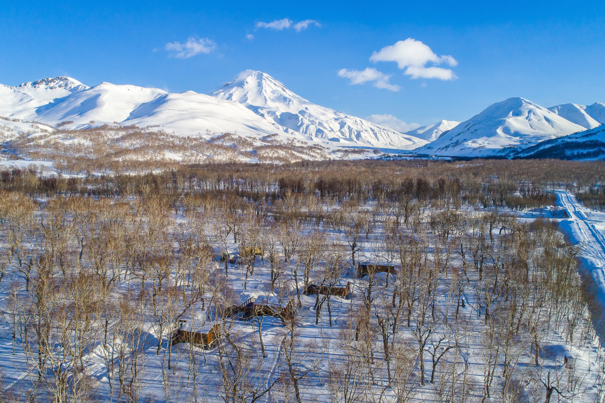 Парк-отель Камчатка Форест Лодж