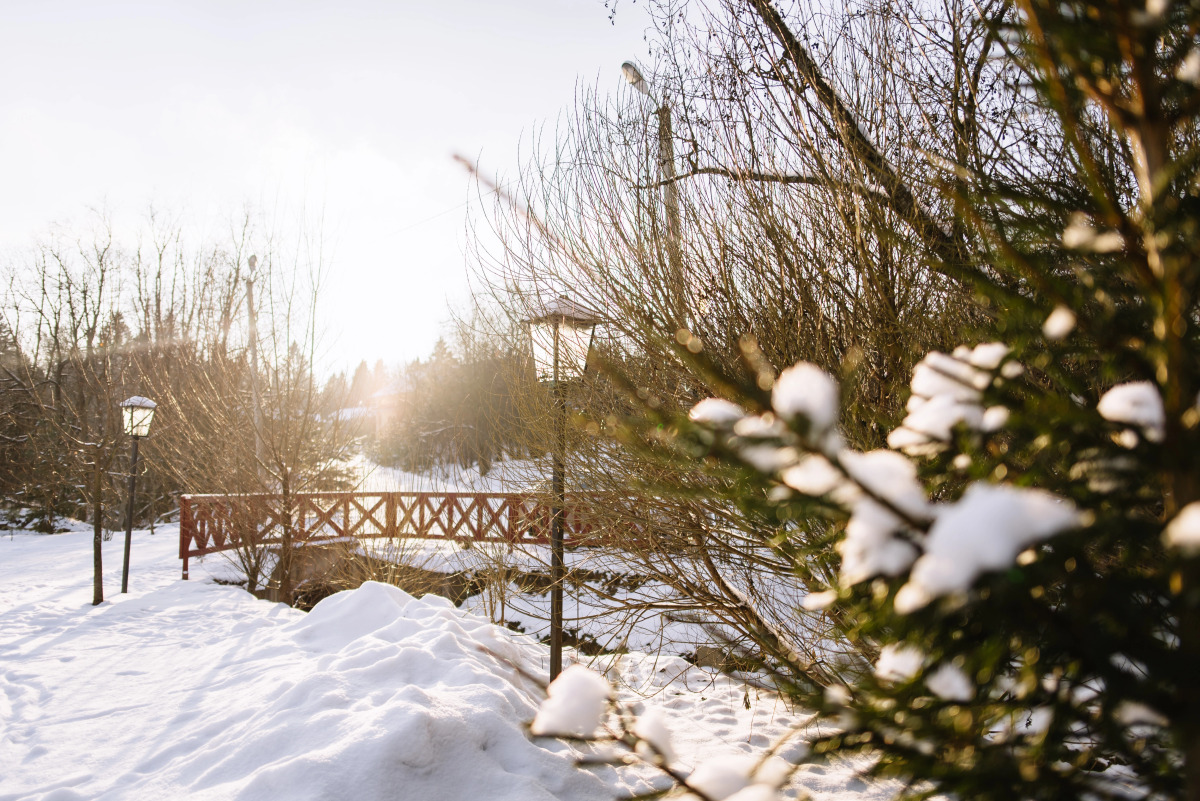 Отель Скоково парк