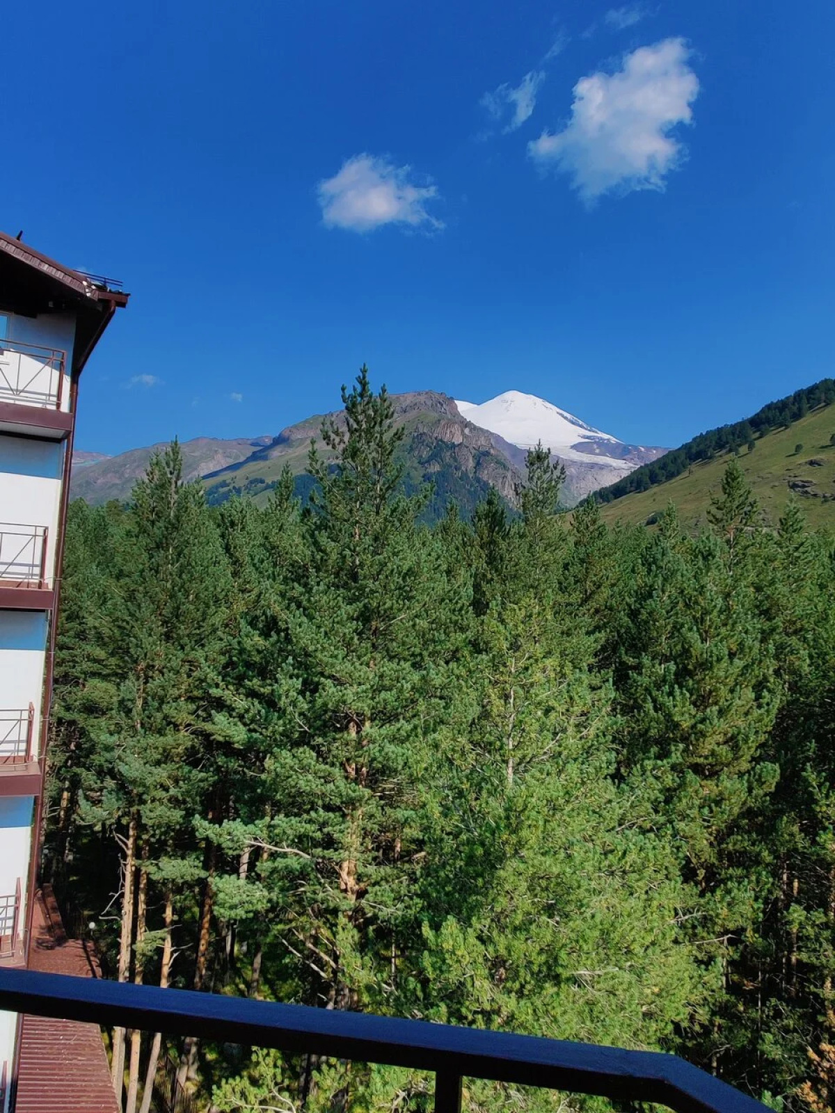 Отель Снежный Барс