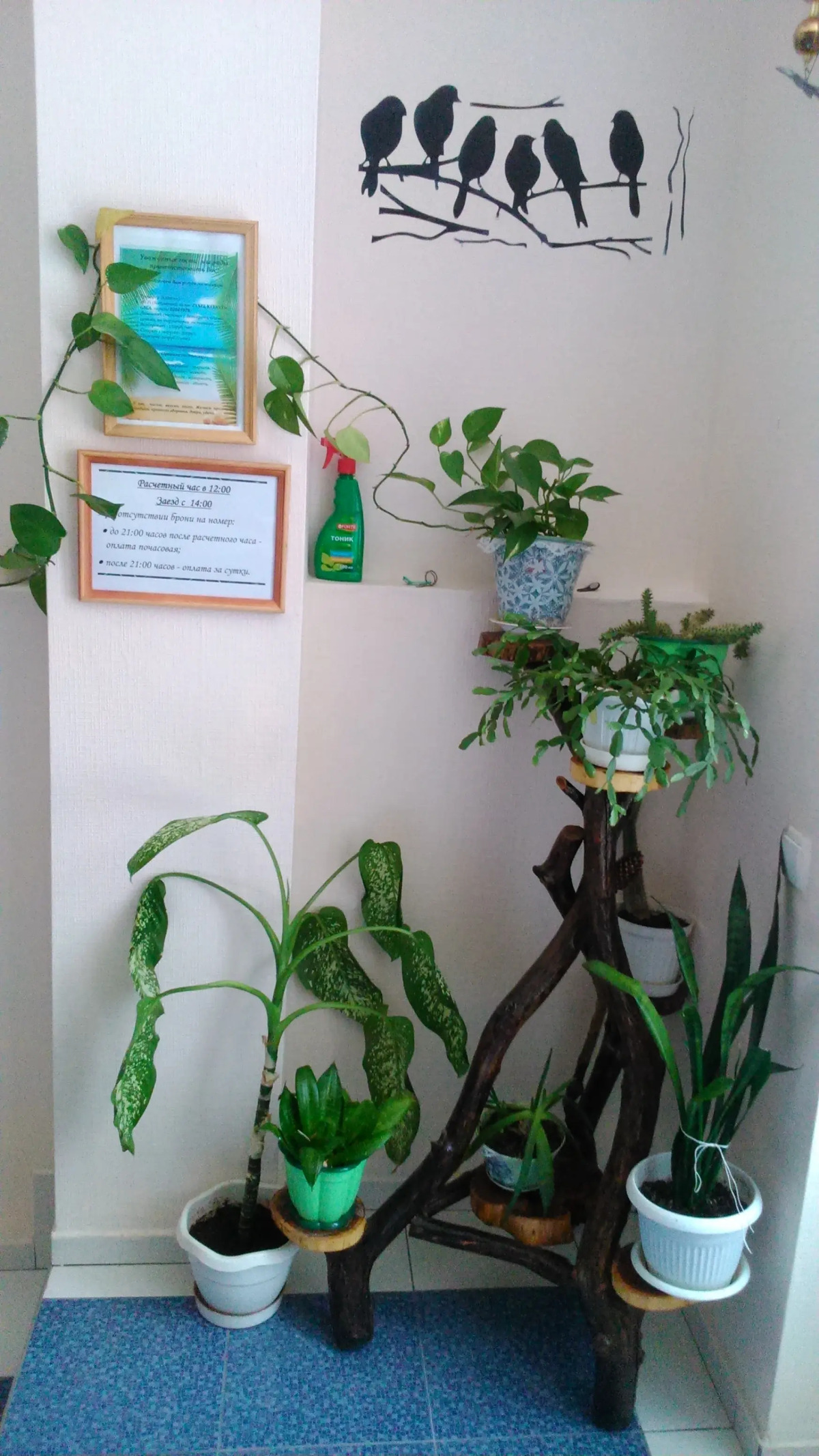 Na Raduzhnoy (Gelendzhik)