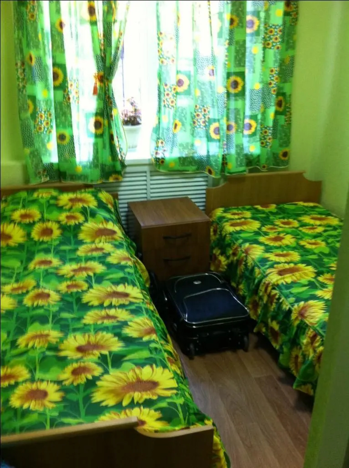 Хостел Подсолнух