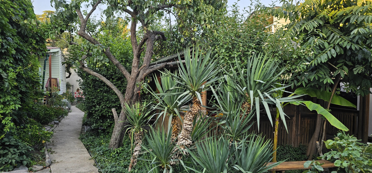 Гостевой Дом Янаки