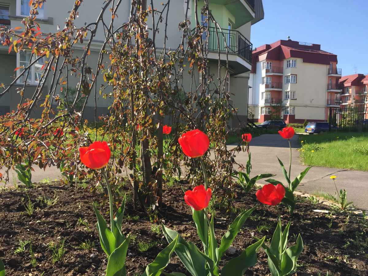 Апартаменты NewStory