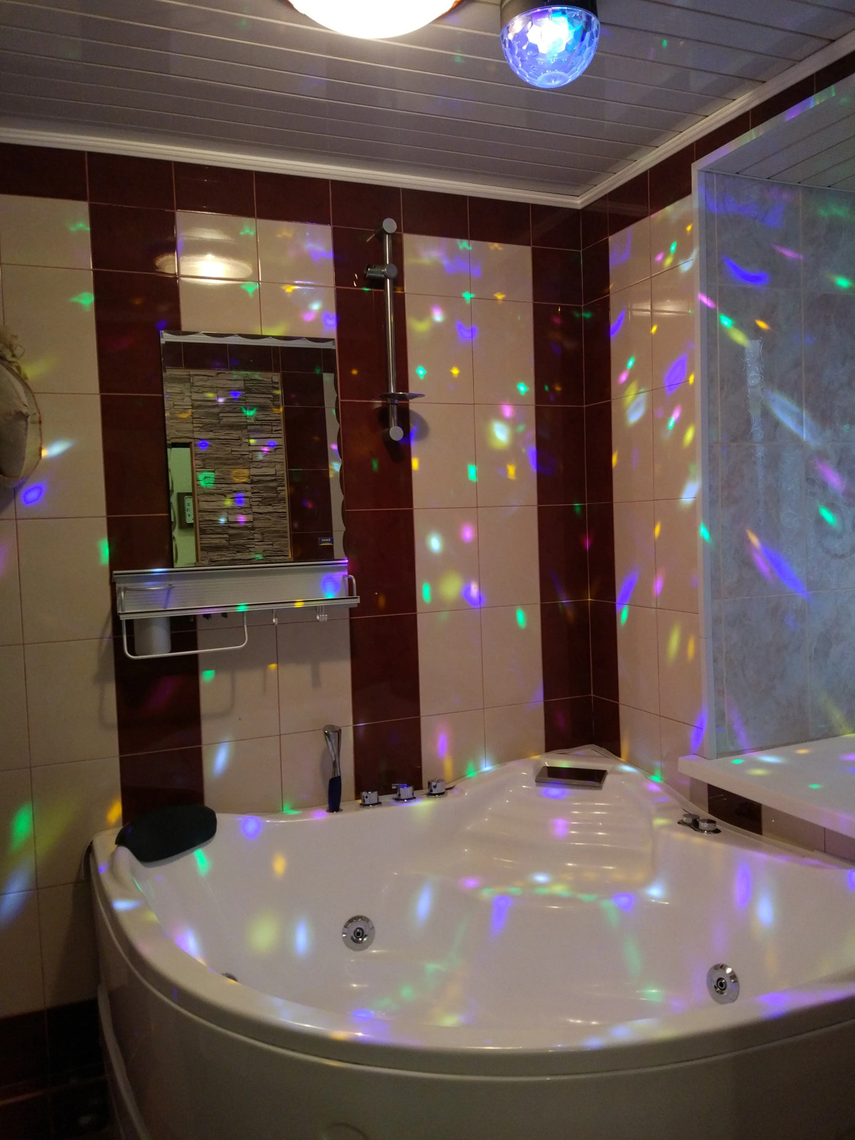 Отель Виста