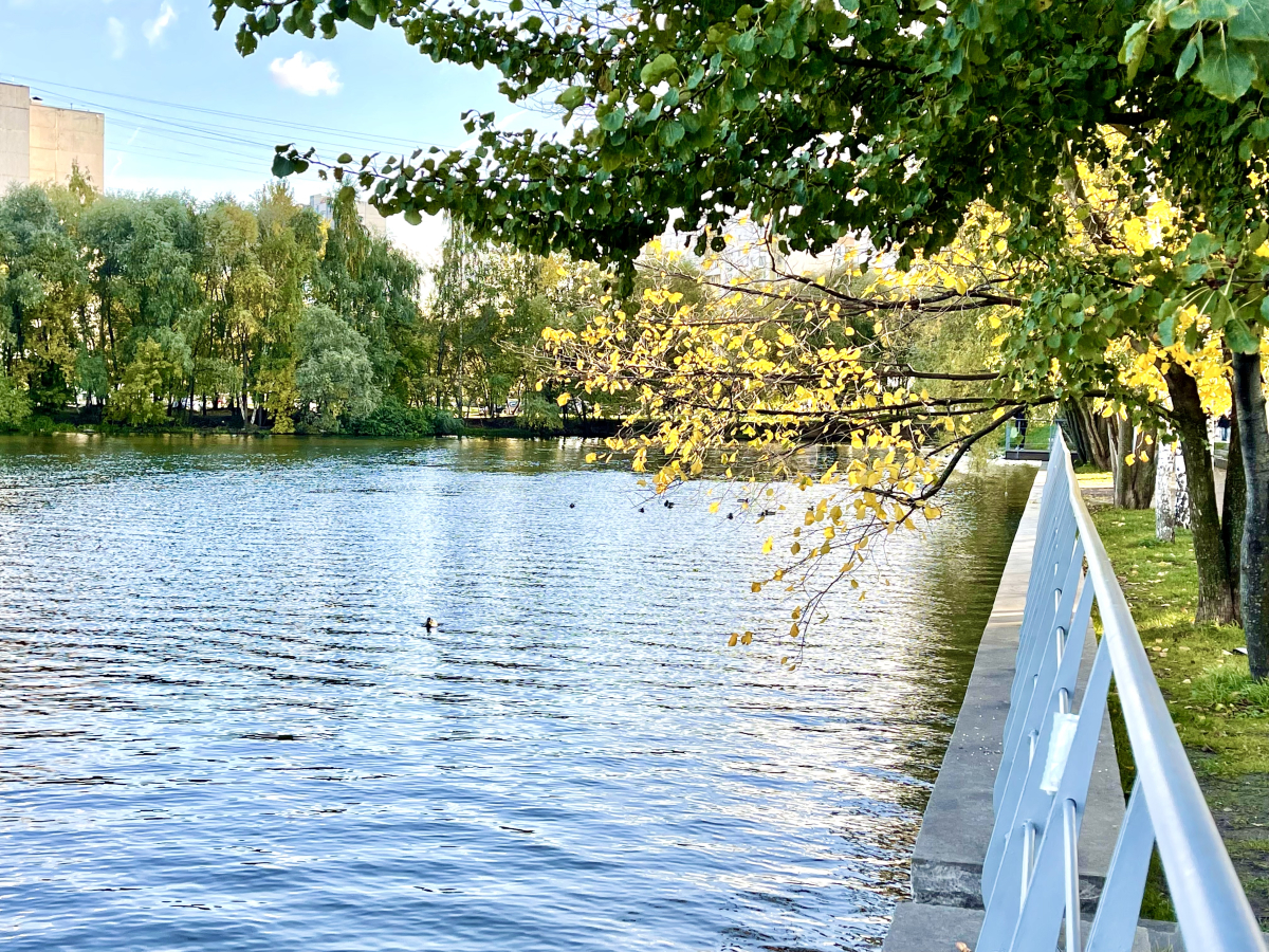 Апартаменты 2я студия Ривер парк