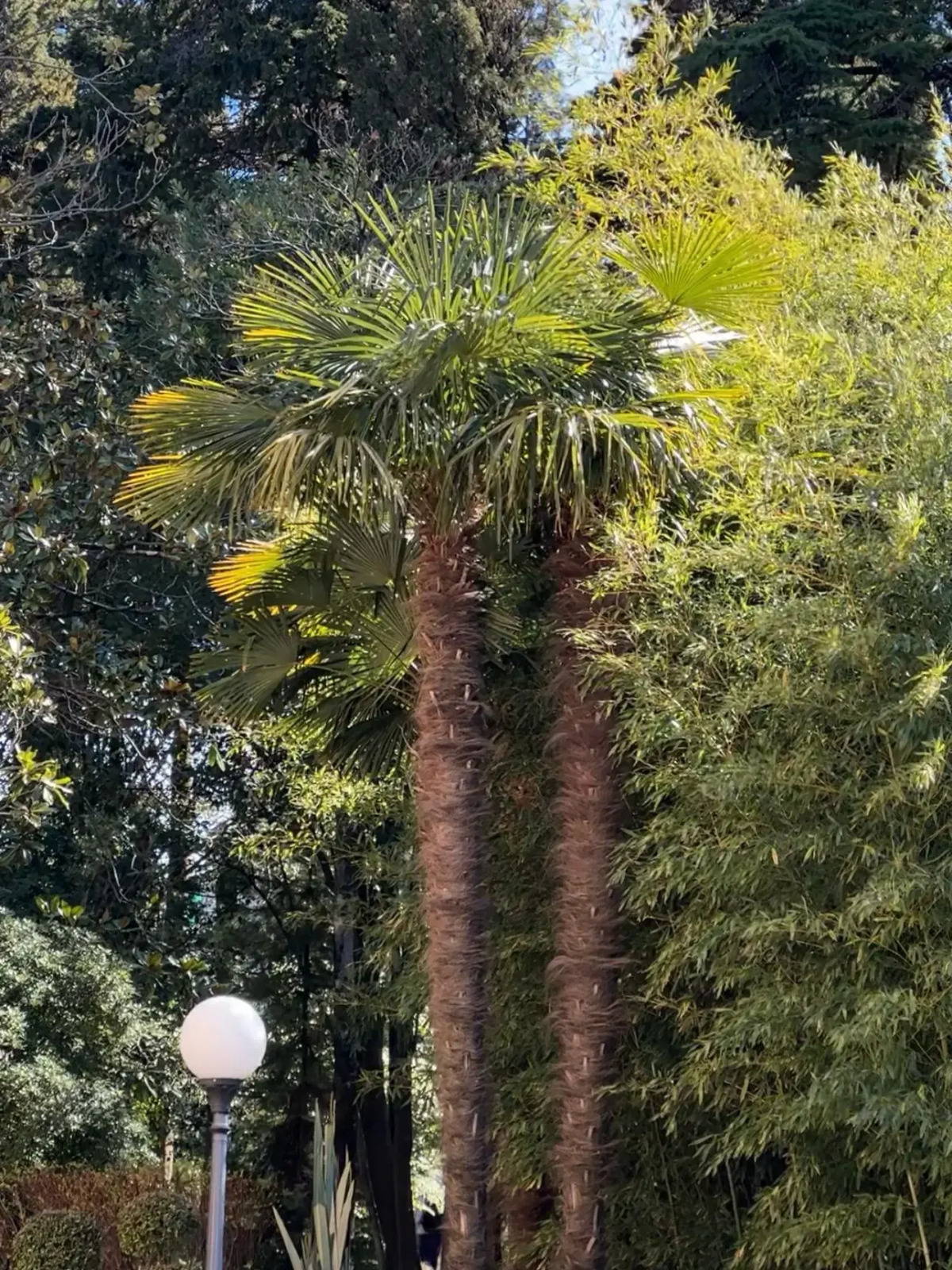 Санаторий Беларусь