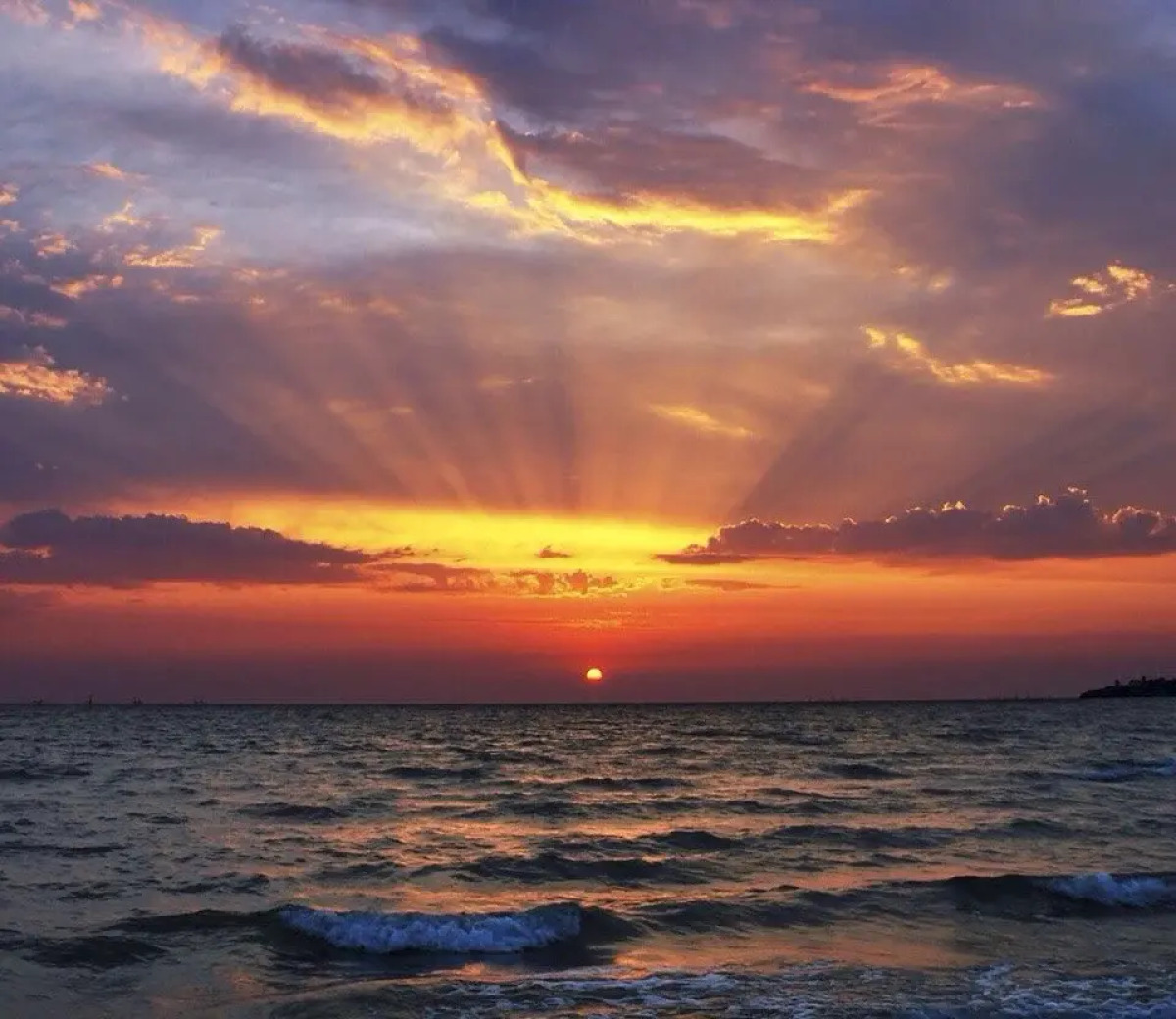 Отель Gala Paradise