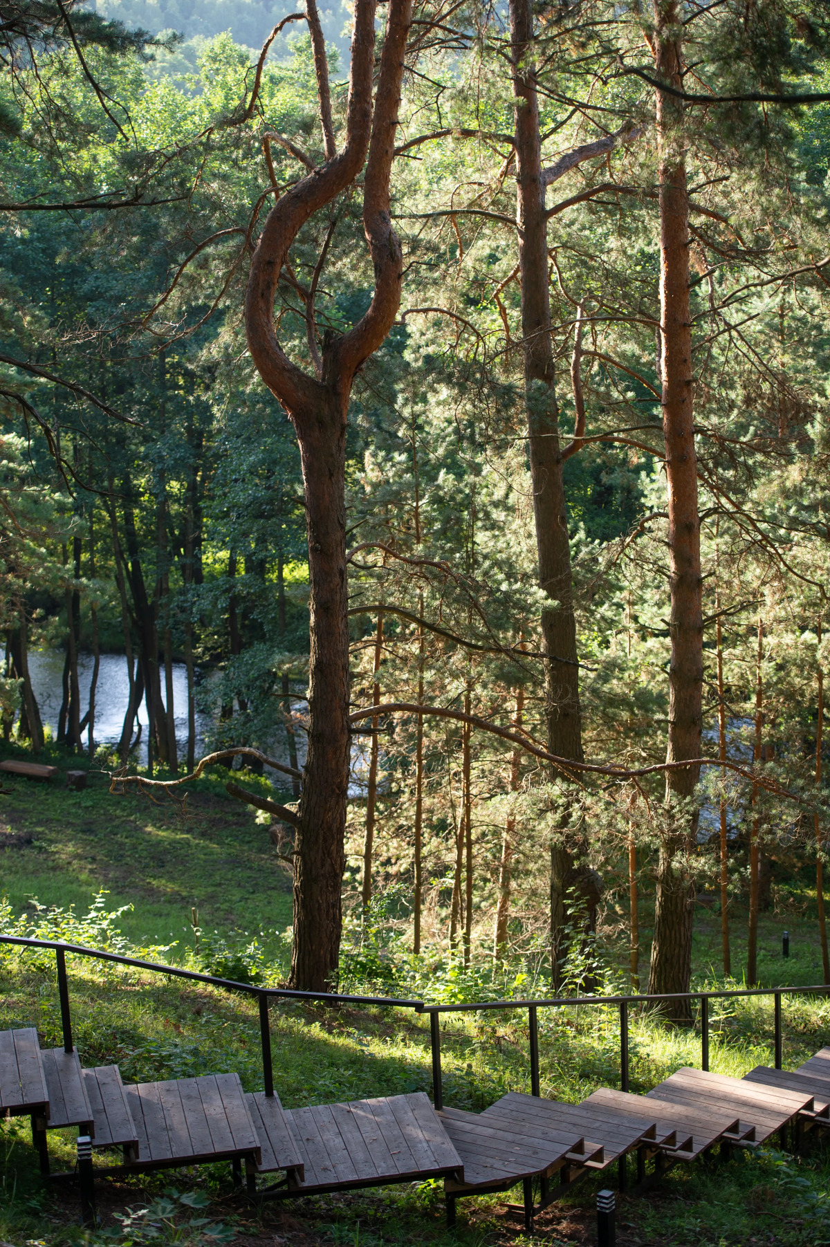 Гостевой дом Wish Home Лесной Берег (Виш Хоум)