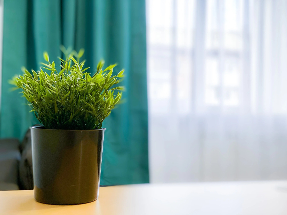 Апартаменты Unique Apart Малахит на Пролетарской 9 рядом с жд и автовокзалом