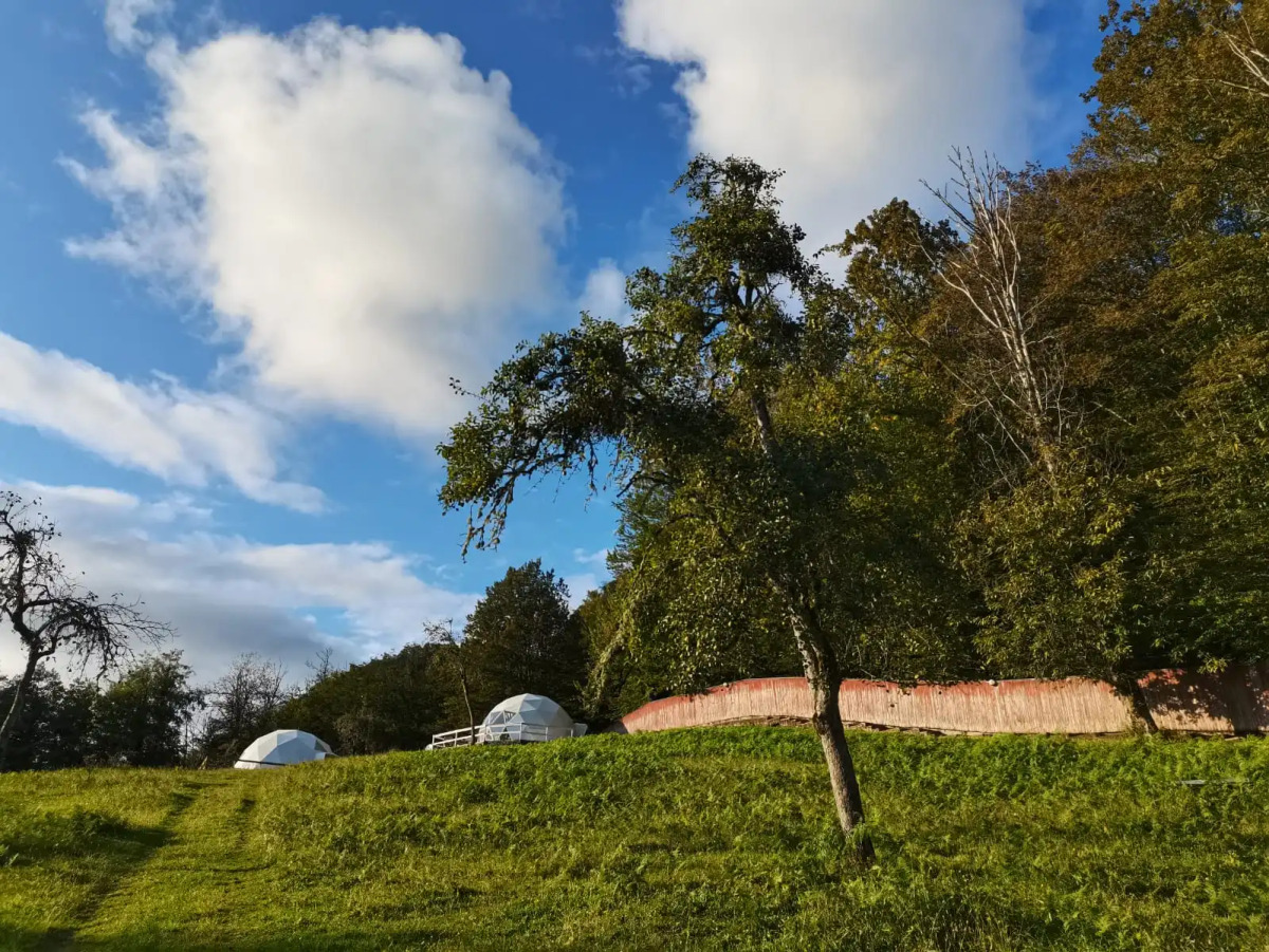 Глэмпинг МЕДОВЕЕВКА LIFE