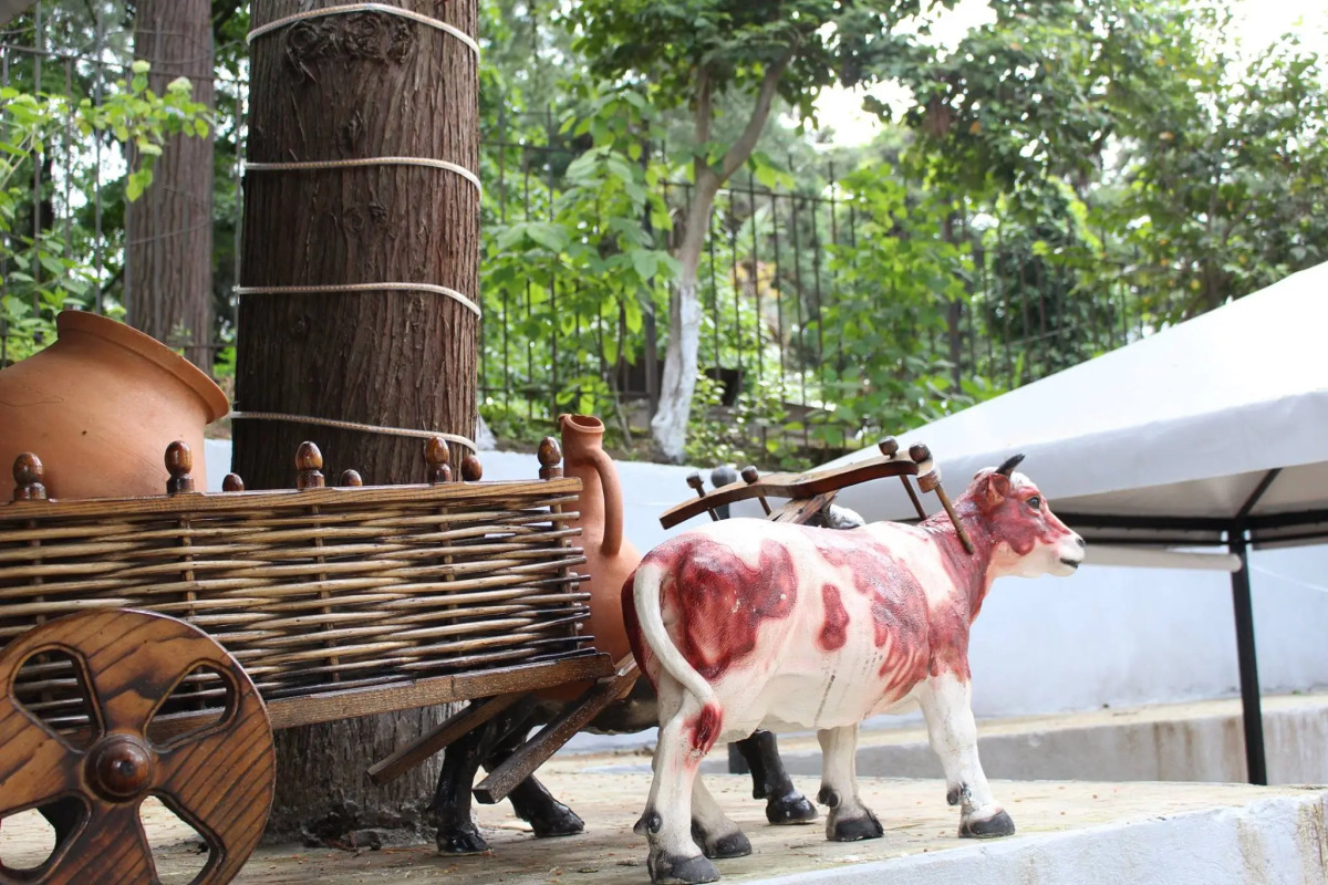 Отель Nine Brothers