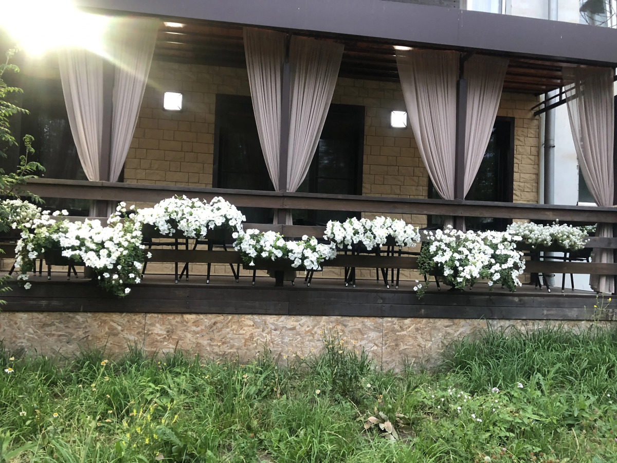 Отель ШВЕДКА