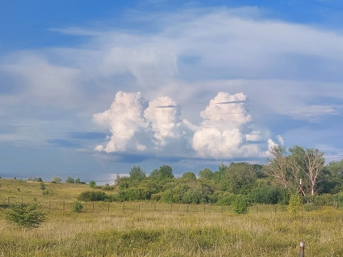 Шале Усадьба Южный Берег Дом для Семейного Отдыха