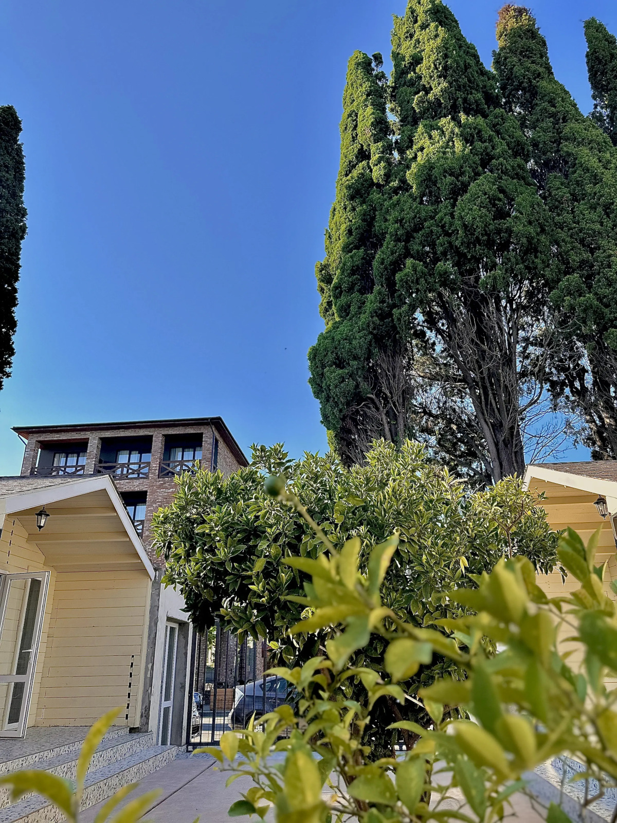 Отель «Жемчужина Абхазии»