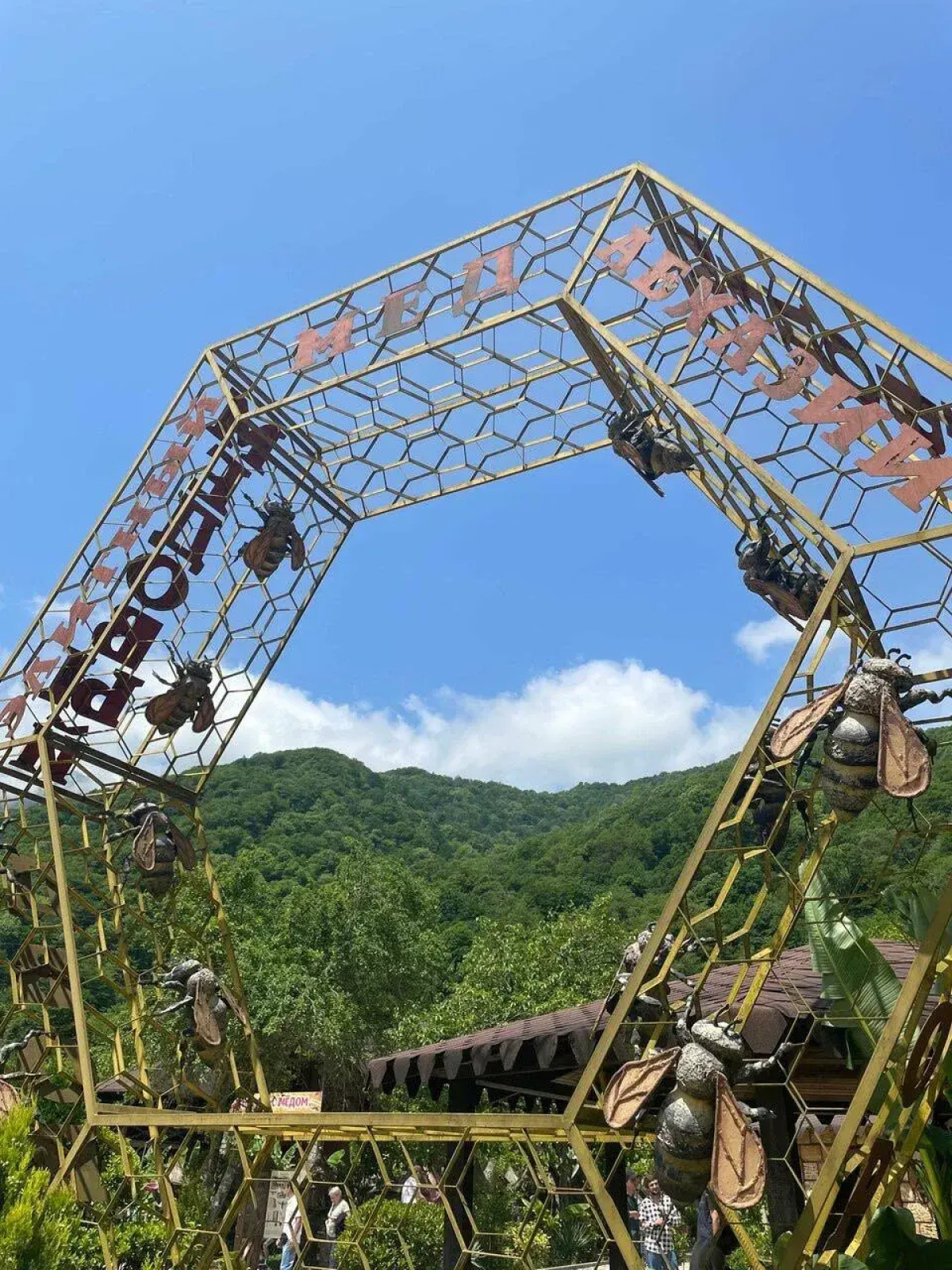 Отель Chalet Bridge Eko