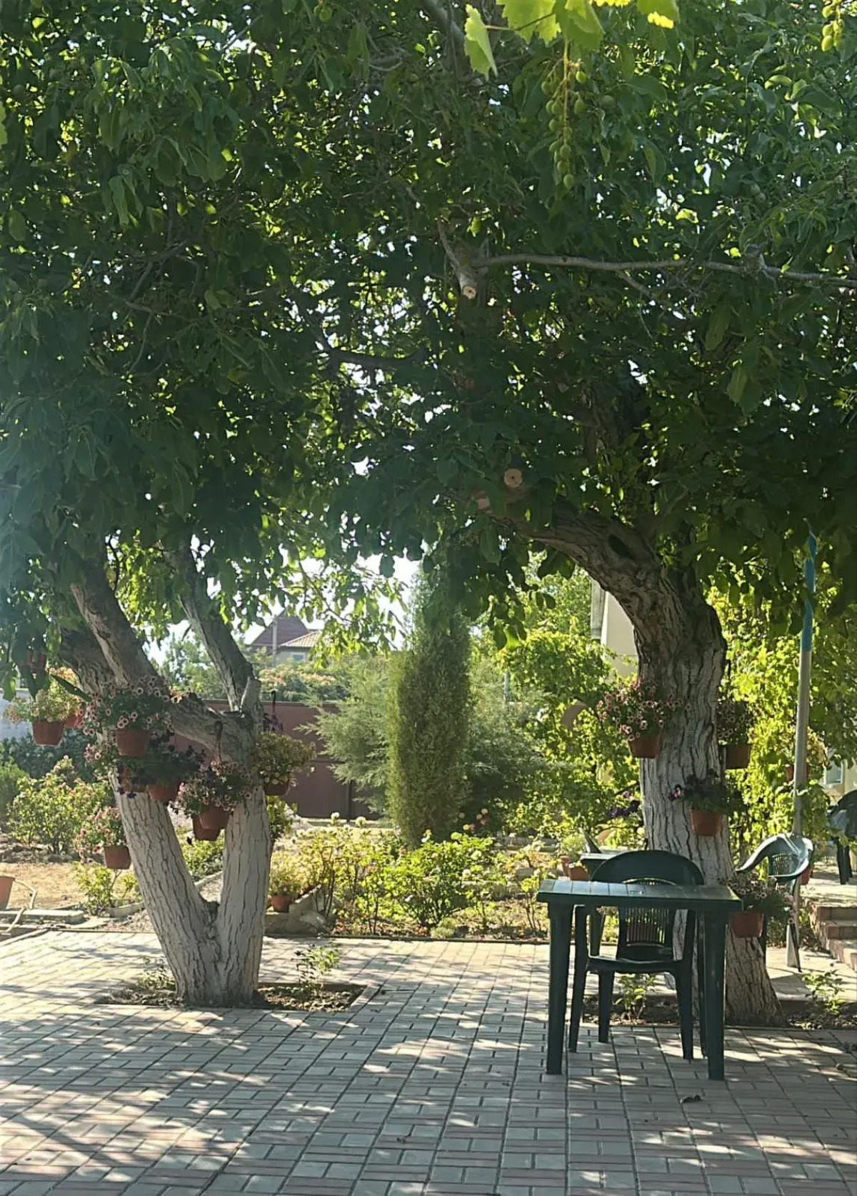 Гостевой дом Морская сказка